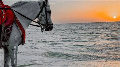 عذر١ء على حافة الهاوية بقلم زهرة الهضاب