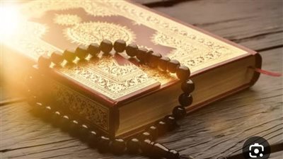«خست النص».. شيماء سيف تهز مواقع التواصل بظهور صادم