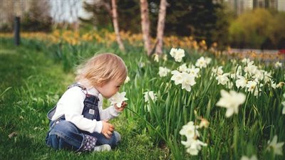 قصه امى كامله