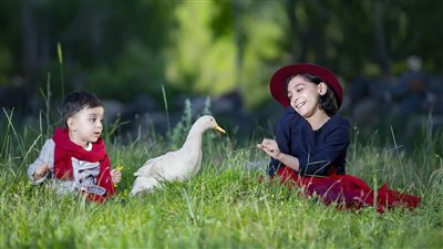 رواية حكاية لم تنتهي جديدة بقلم رودي كاملة ممتعة جدا